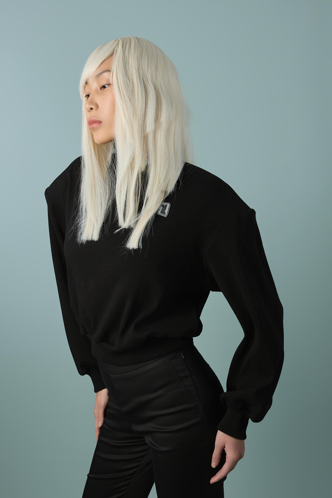 Свитшот Doggy Regby