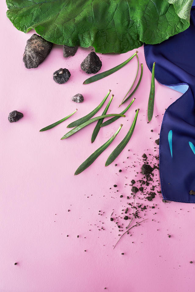 Футболка Листья внутри | ZNWR