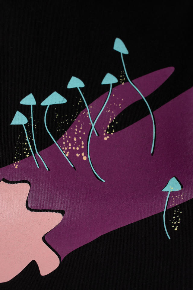 Топ 1972 Stump | ZNWR