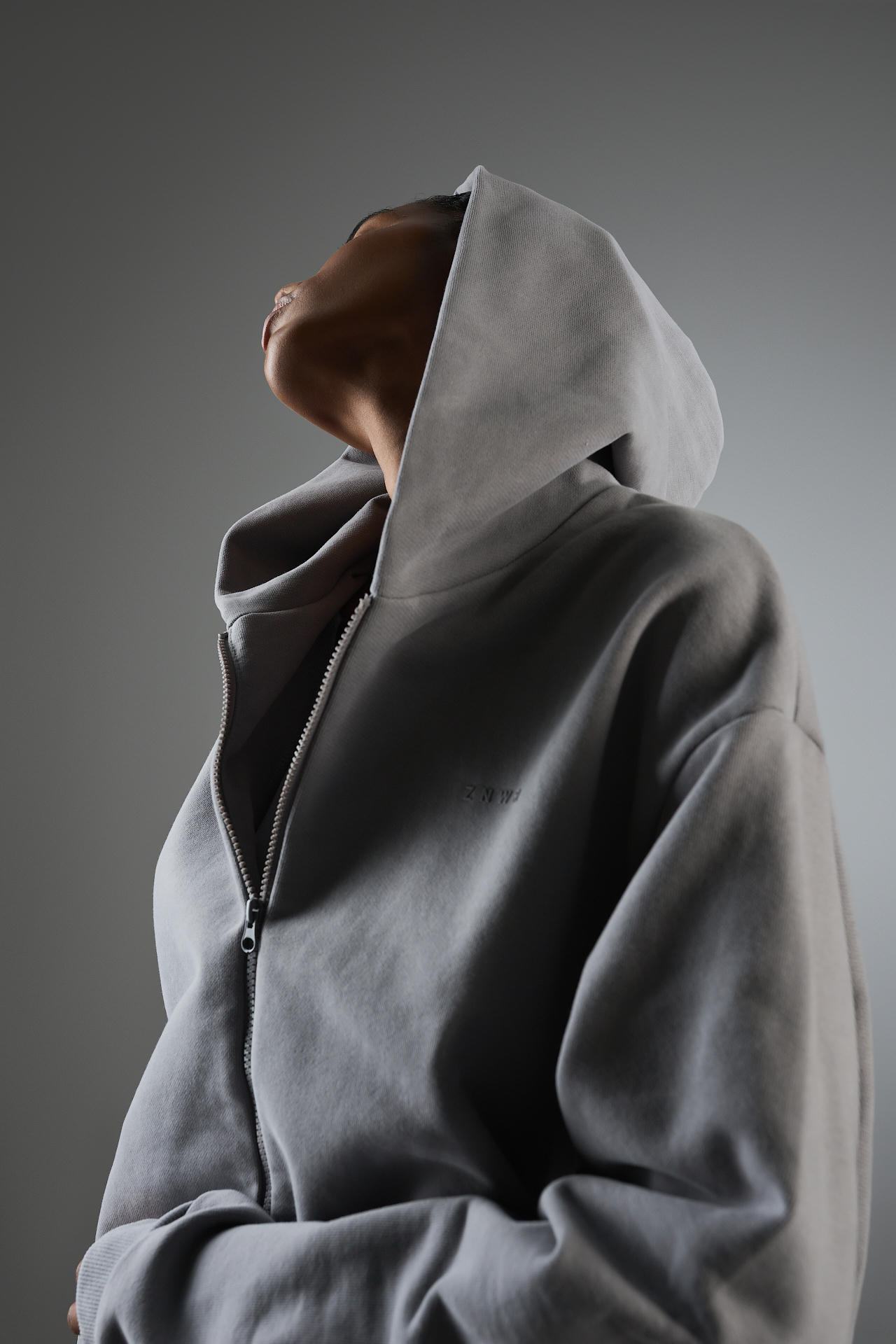 Худи Ford zip