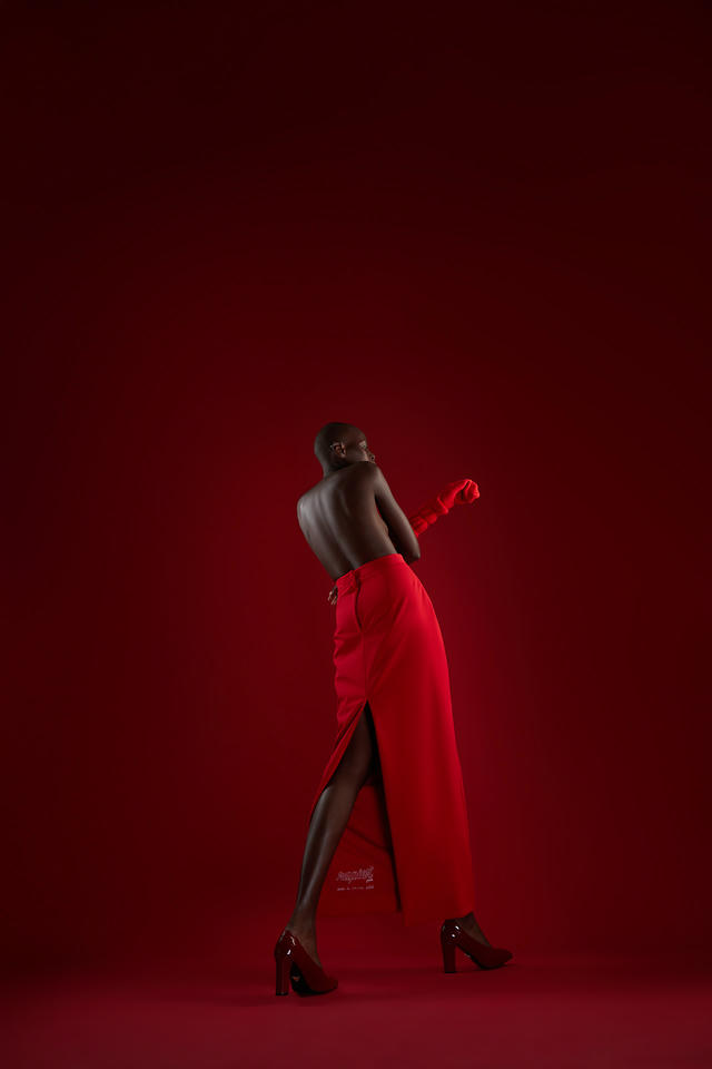 Юбка Rapier maxi | ZNWR