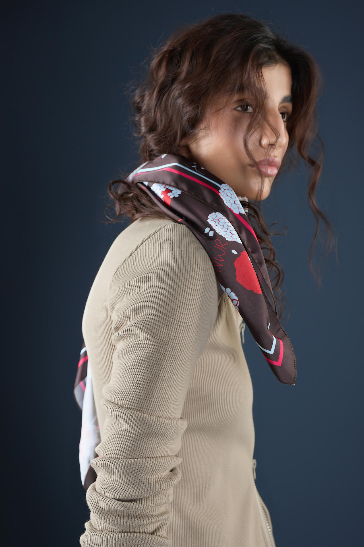 Свитшот Doggy slim zip