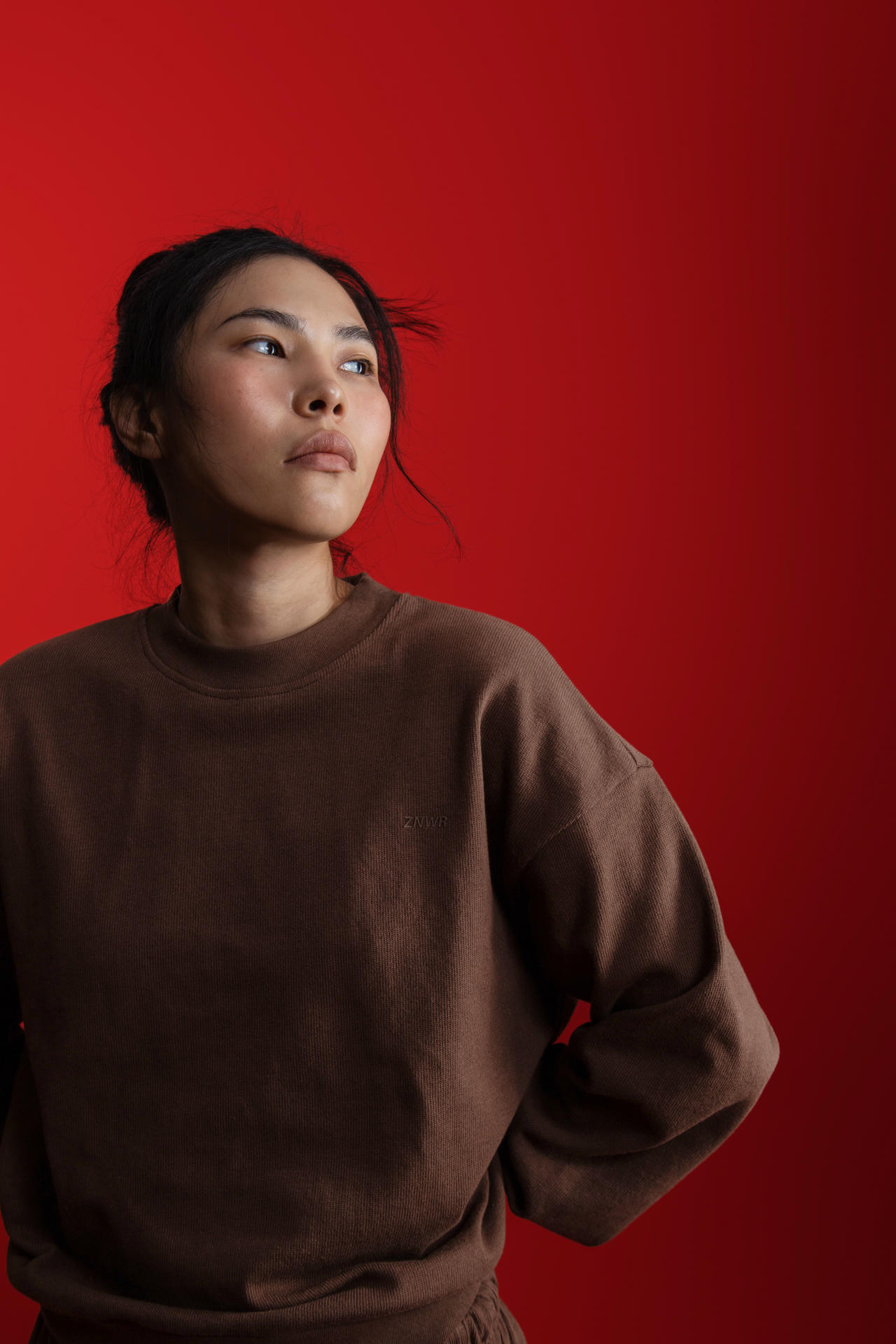 Свитшот Флай